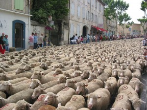 St-Remy-de-Provence